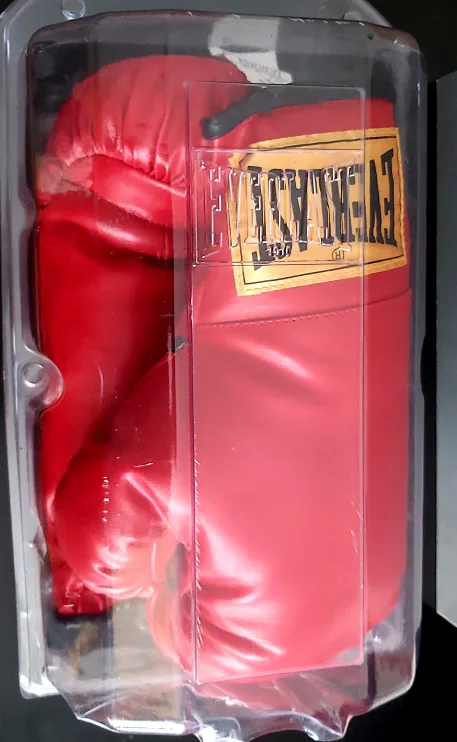 Everlast - Adult Boxing Gloves 🧡 image indicator(2)