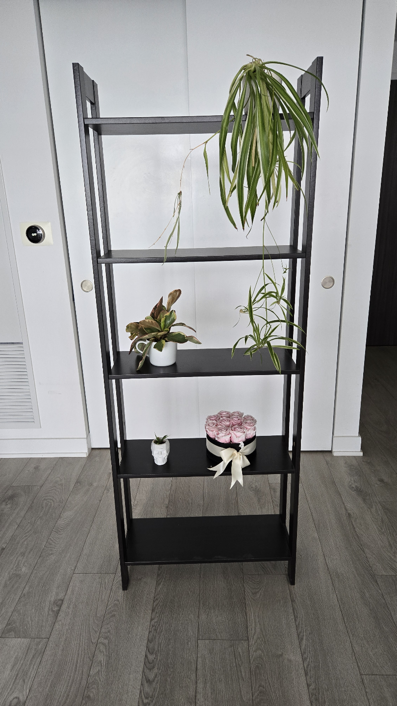 ***IKEA LAIVA Bookcase - Black-Brown***