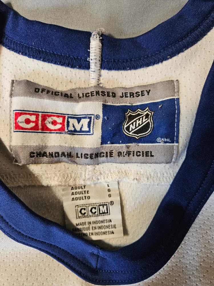 leafs jersey image indicator(2)