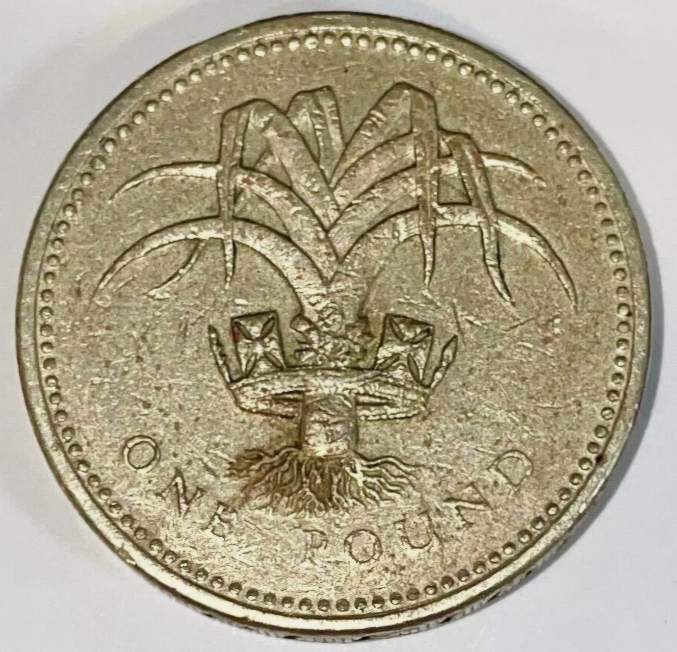 One Pound Coin