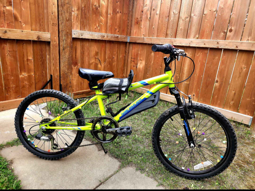 Nexura 20 inch kids bike