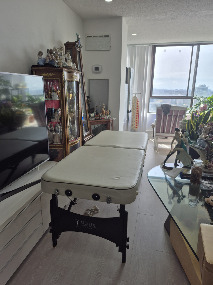 Master Massage Therapy Table - Portable & Adjustable