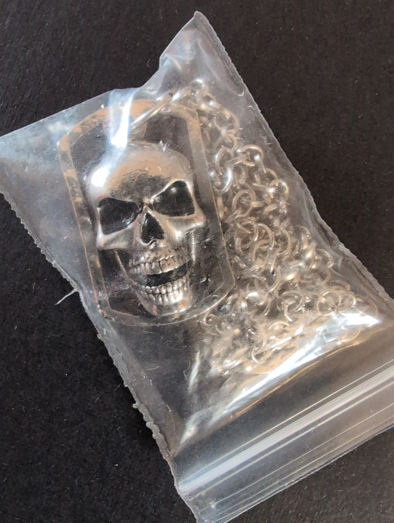 Silver Skull Dog Tag Necklace