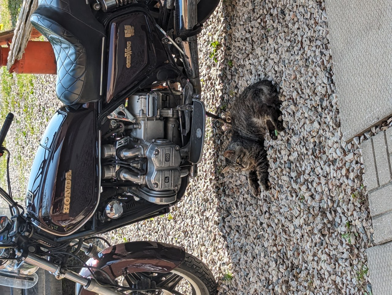 Honda GL1100 Gold Wing Interstate