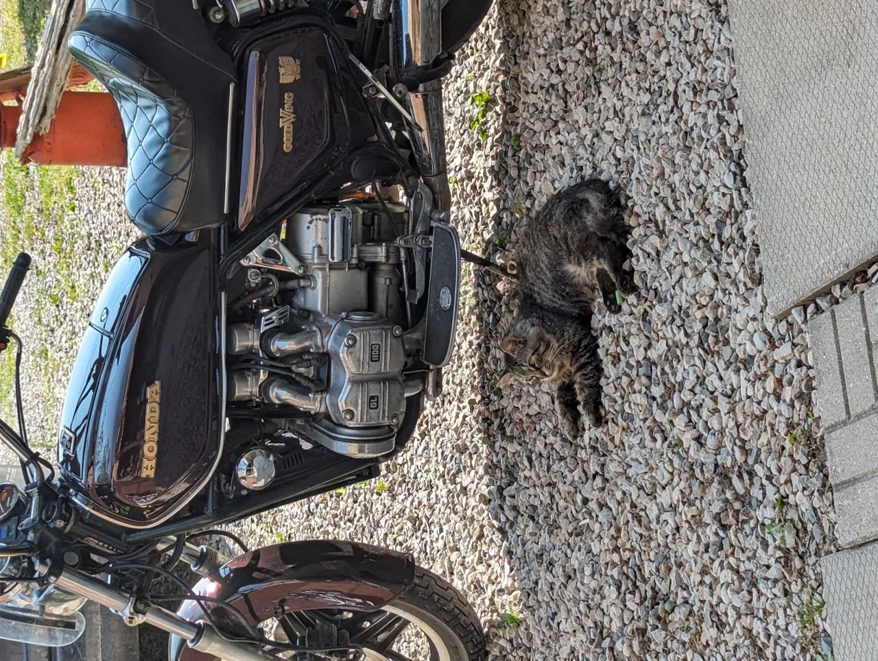 Honda GL1100 Gold Wing Interstate thumbnail
