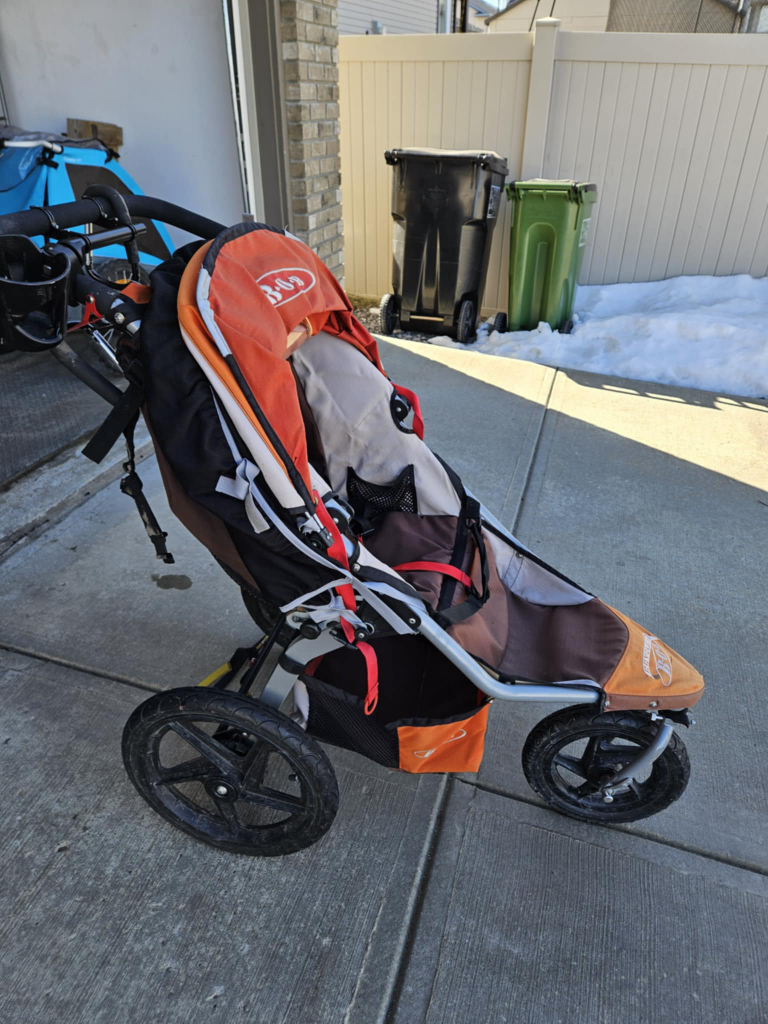 BOB Revolution Jogging Stroller and Guzzie+Guss Glider Board - photo 2