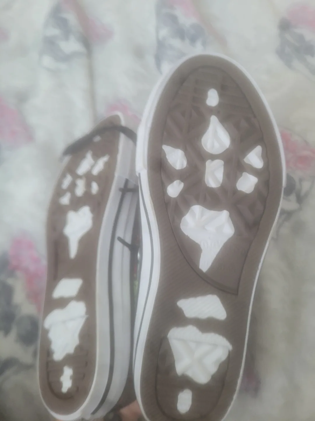 Brand new Converse Dinoverse image indicator(4)