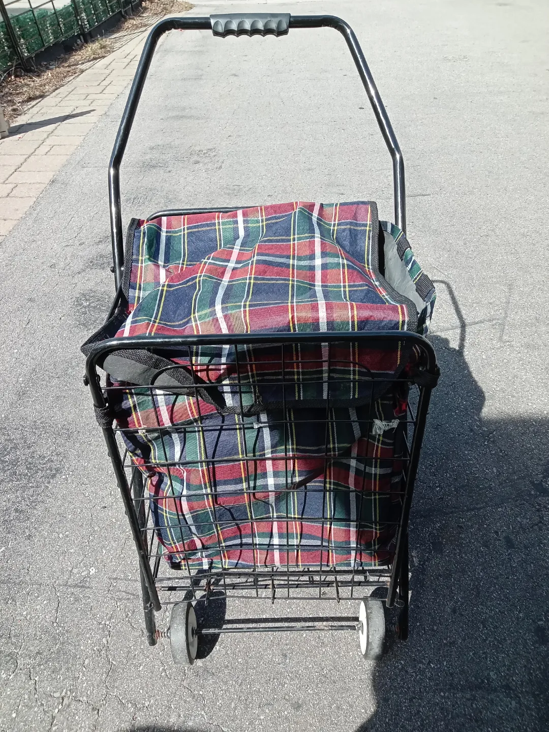 Shopping Cart with Plaid Bag thumbnail