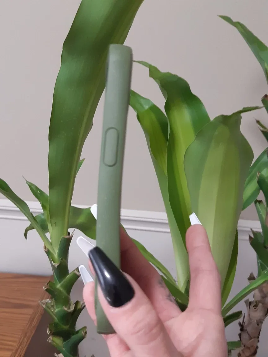 Pela sage green case for iphone 13 image indicator(3)