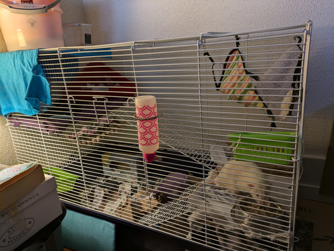 Small Animal Cage