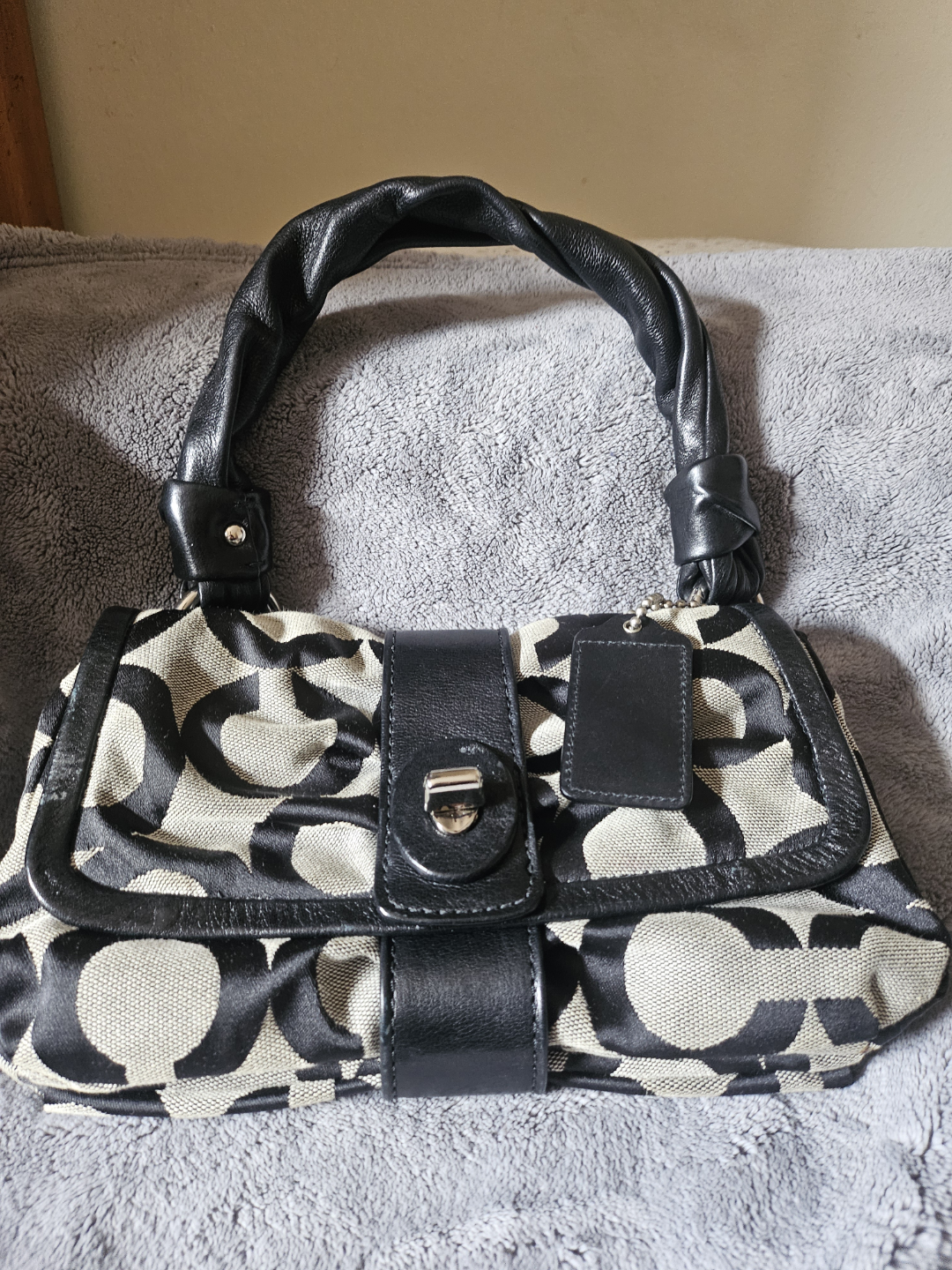 Coach Signature C Bag