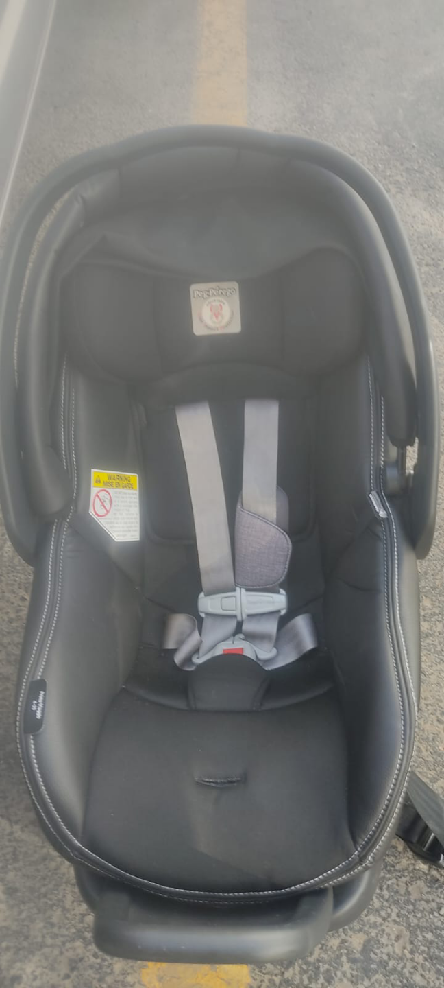 #freecycle Peg Perego Primo Viaggio 4-35 Infant Car Seat - photo 5