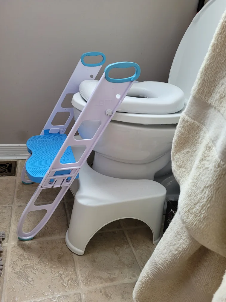 Potty Training Toilet Trainer Ladder thumbnail