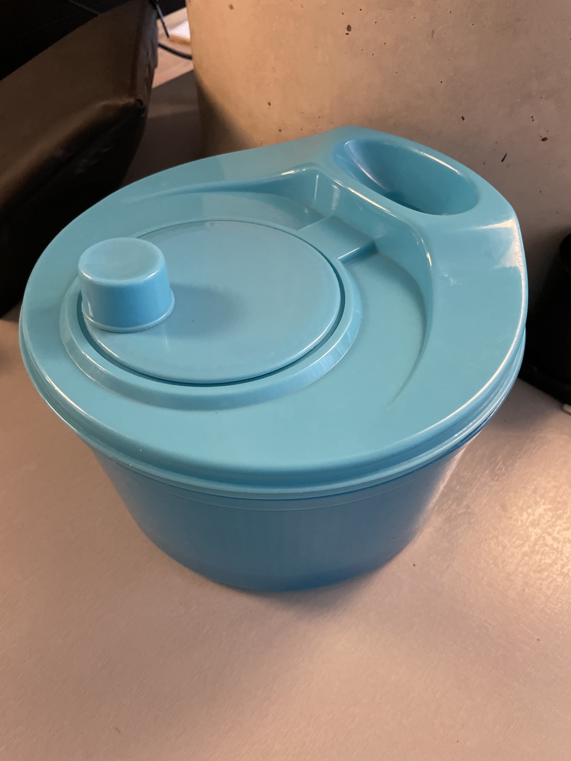 Free Salad Spinner