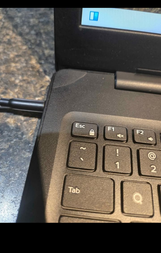 Dell Latitude 3590  15 Inch Laptop - i5 8th Gen, 16G/256G - photo 3