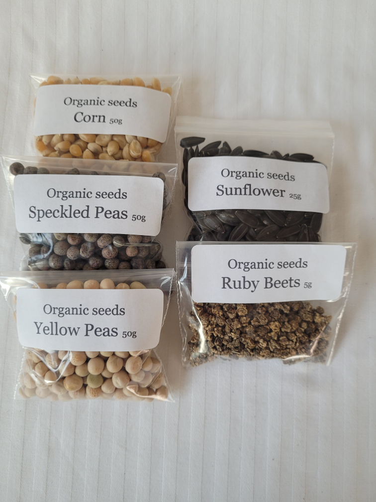 Organic Vegetable & Herb Seeds Variety Pack - photo 2