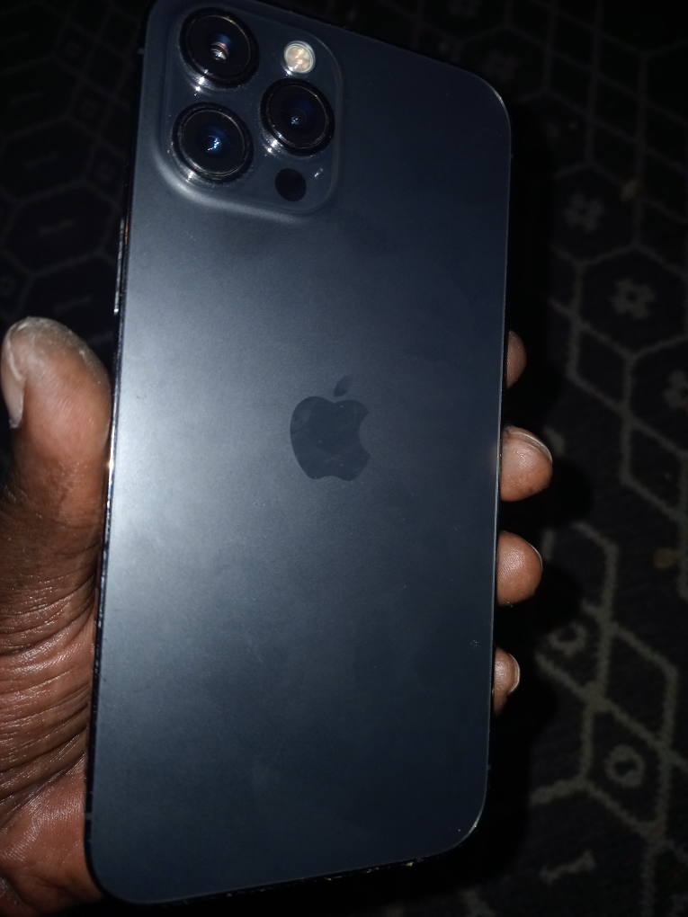 iPhone 12 Pro Max - 256 GB - photo 3