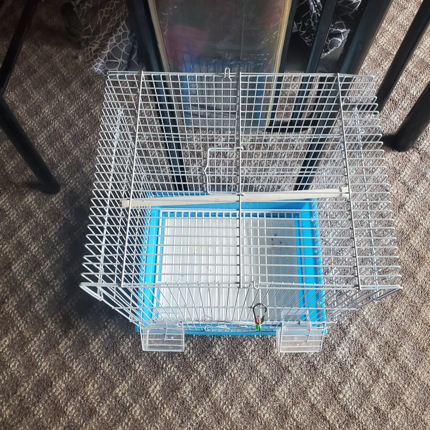 Small Bird Cage image indicator(2)