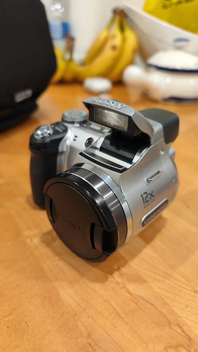 Sony CCD retro digital camera thumbnail