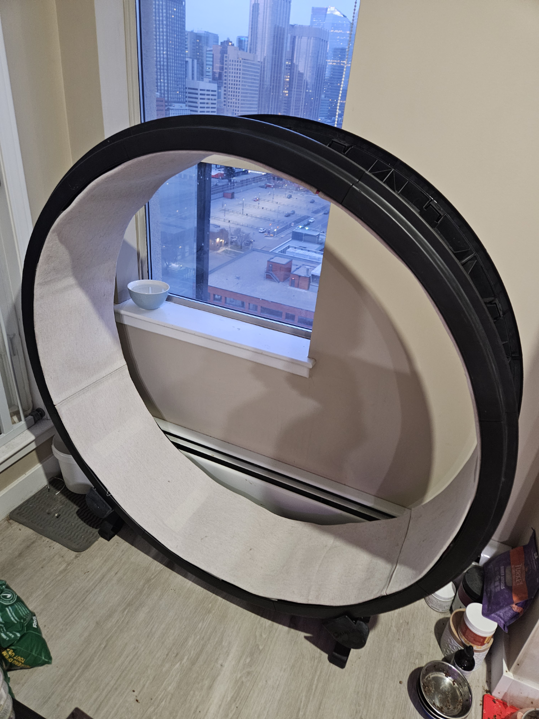 ONE FAST CAT - Cat Exercise Wheel - Safe 48" Diameter