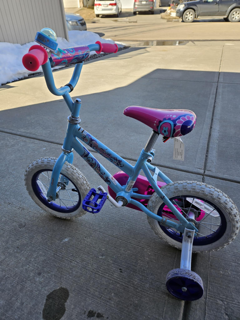 Girls' 12-inch Bike with Training Wheels