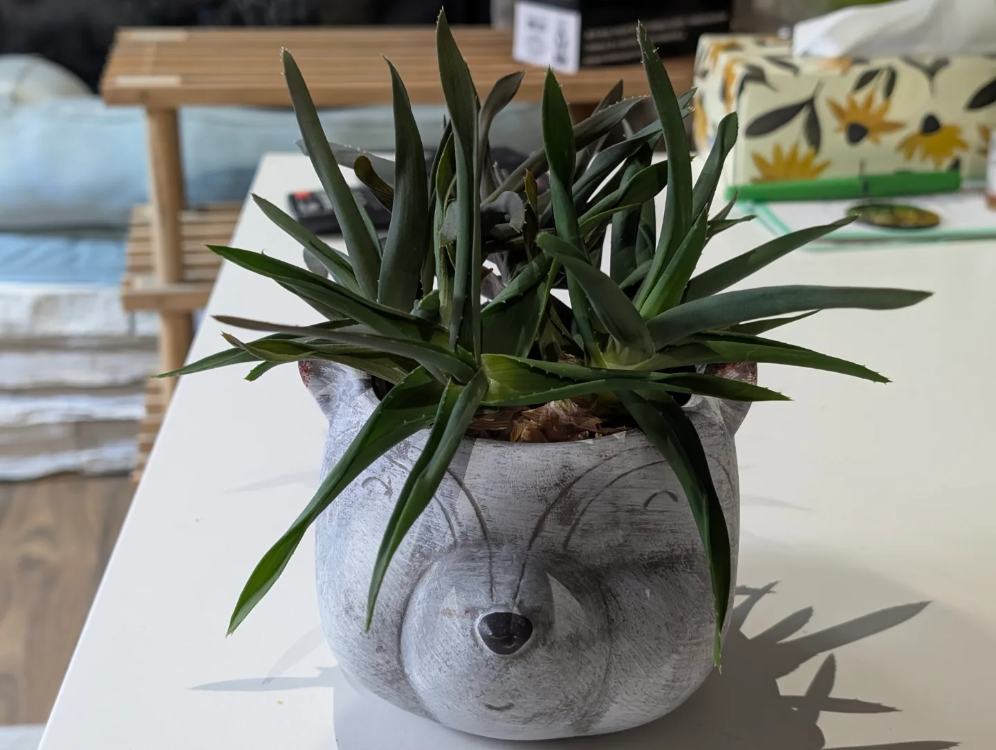 Cute Animal Planter with Succulents