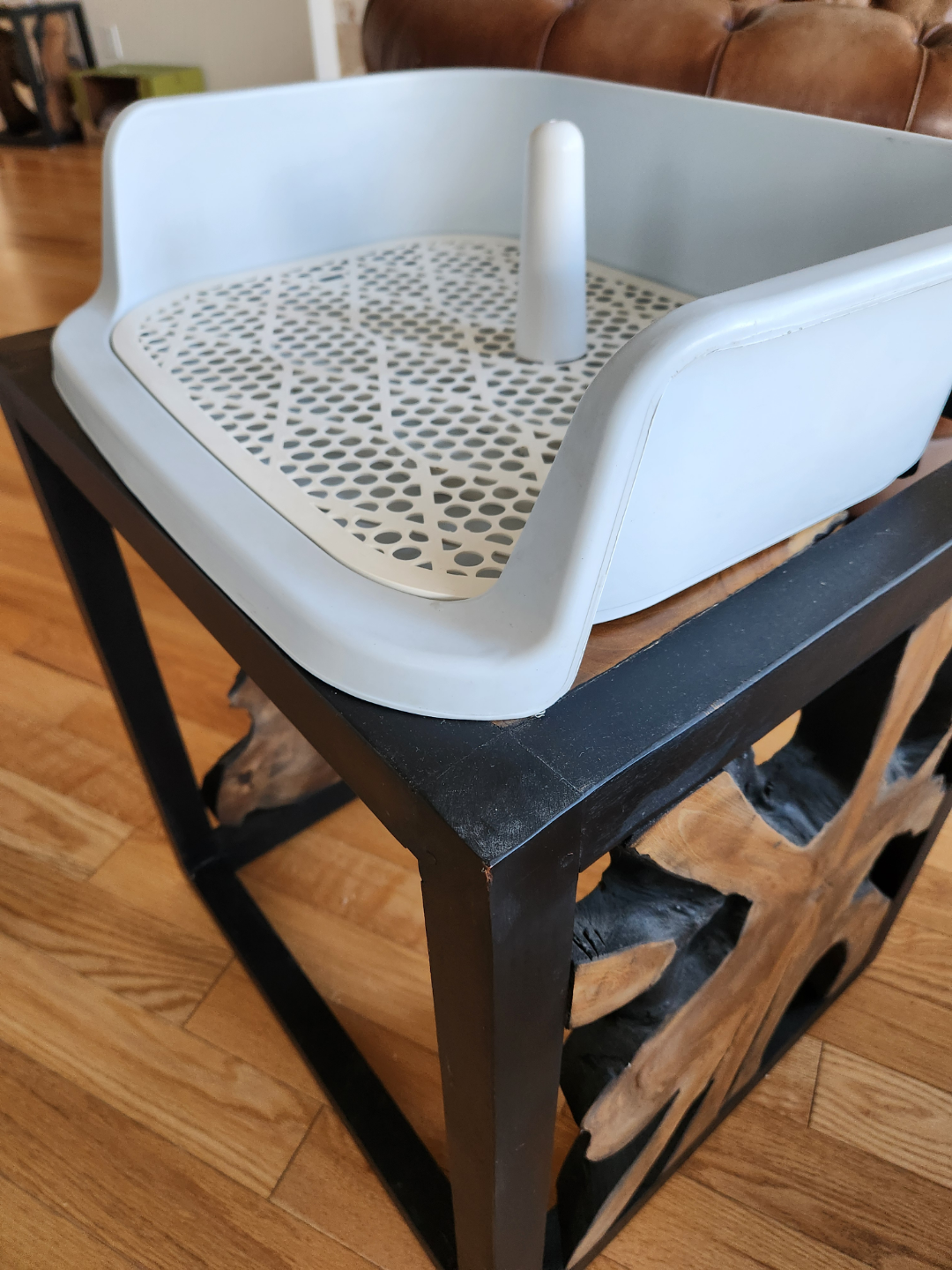 Potty Training System with Post for male dogs - photo 5