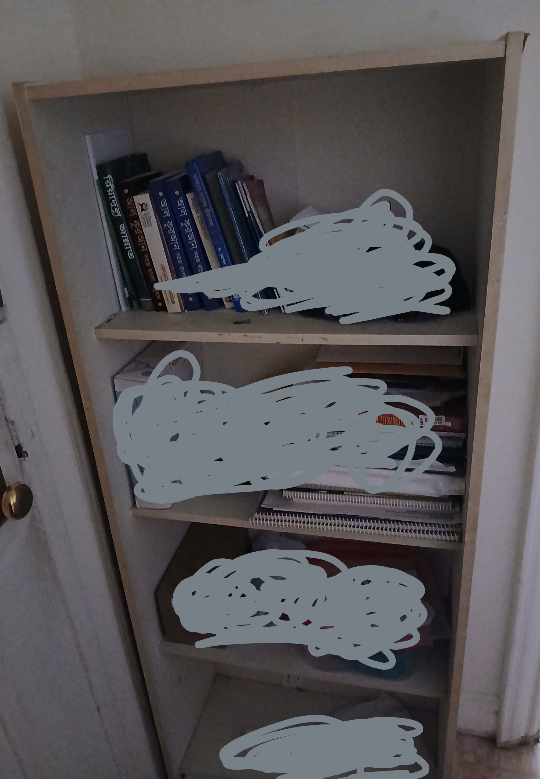 Wooden 4-Shelf Bookcase 🥕💚