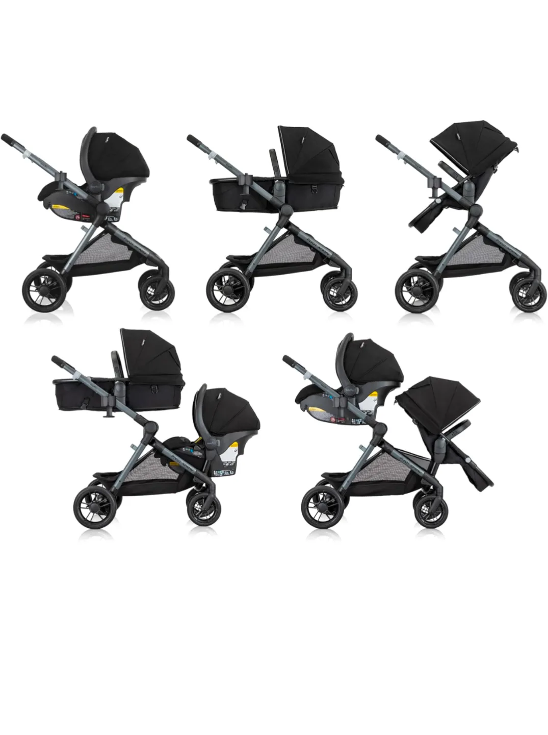 pivot explore Xpand image indicator(8)