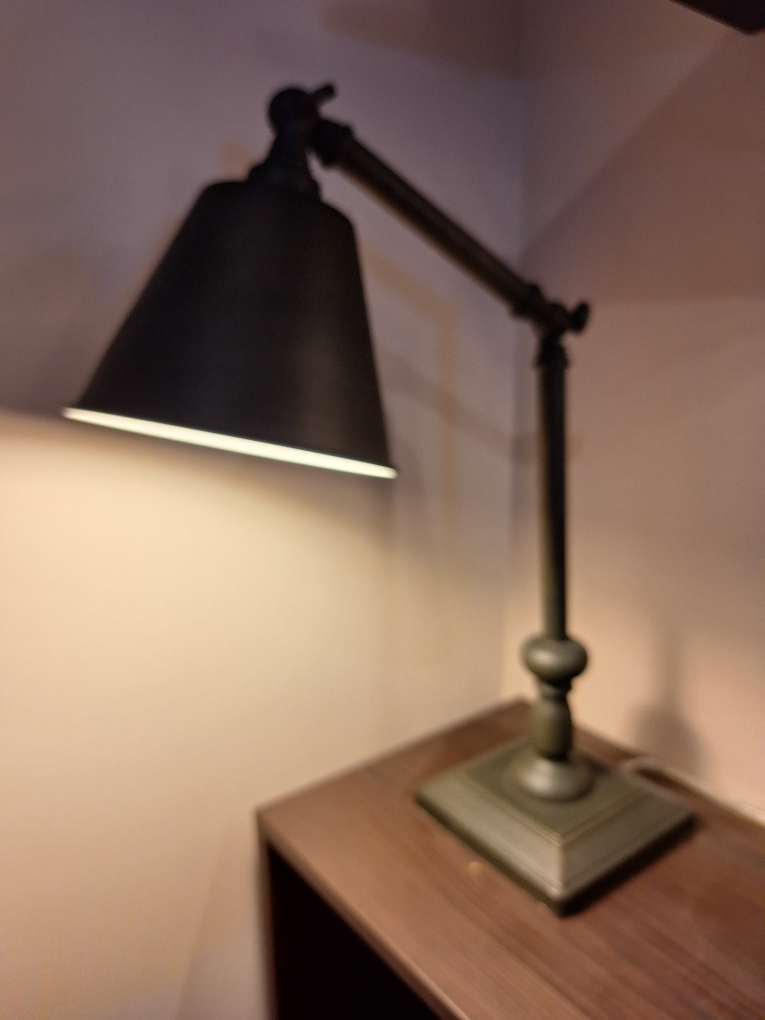 Adjustable Desk Lamp - Dark Green Metal - photo 2