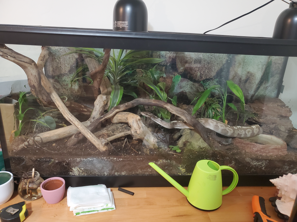 48x18x21 Reptile Enclosure