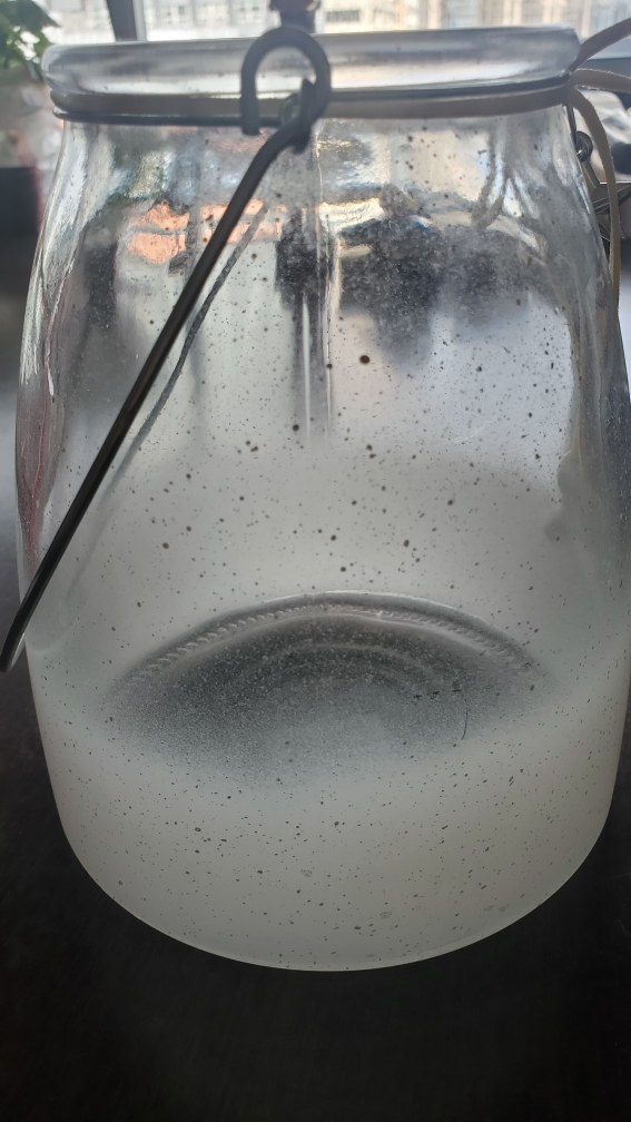 Glass Jar Candle Holder with Metal Wire Handle - photo 3