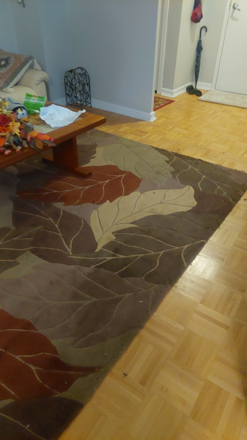 Leaf patterned area rug