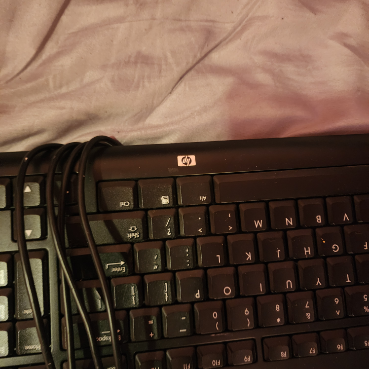 HP Wired Keyboard and another keyboard