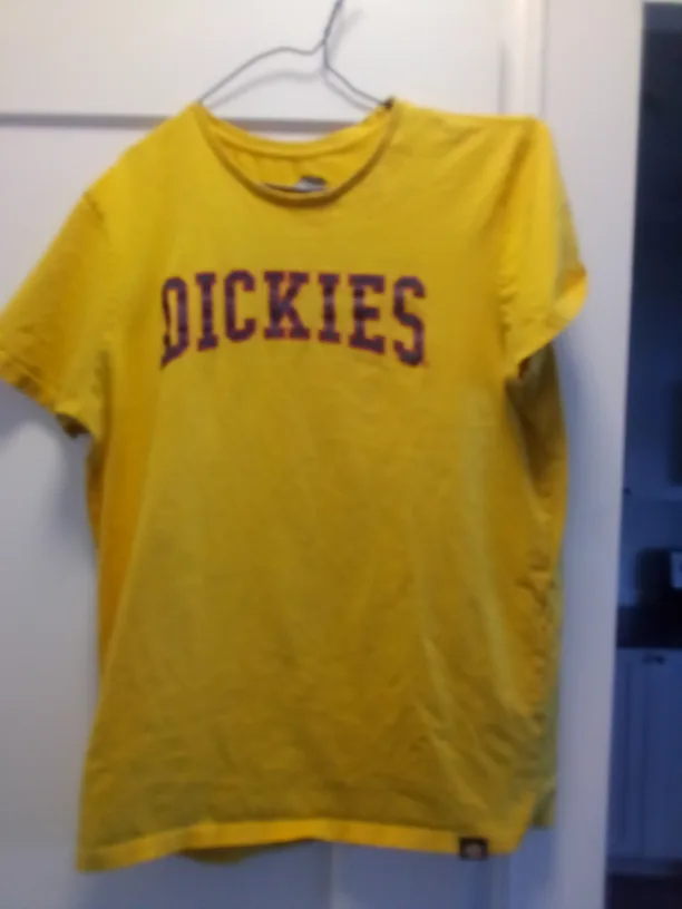 Dickies tshirt image indicator(2)