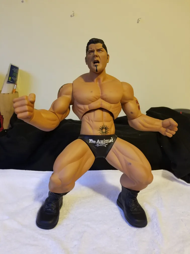 WWE The Animal Dave Batista Action Figure image indicator(3)