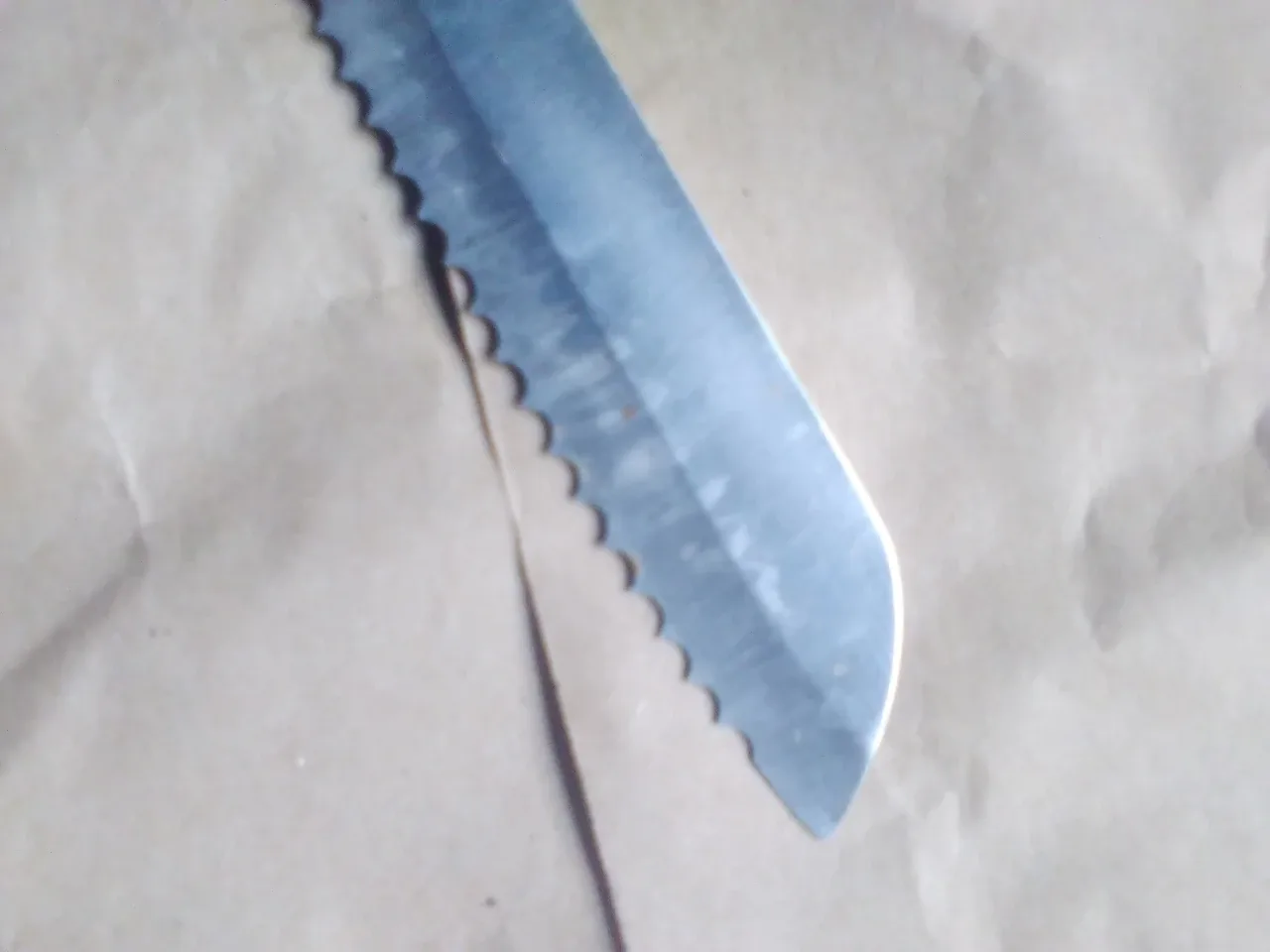 Stainless steel bread knife 💚 image indicator(2)