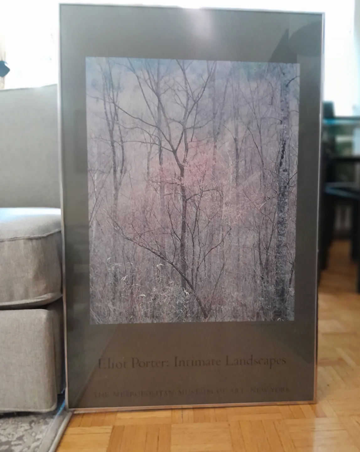 Framed Art work by Eliot Porter image indicator(2)