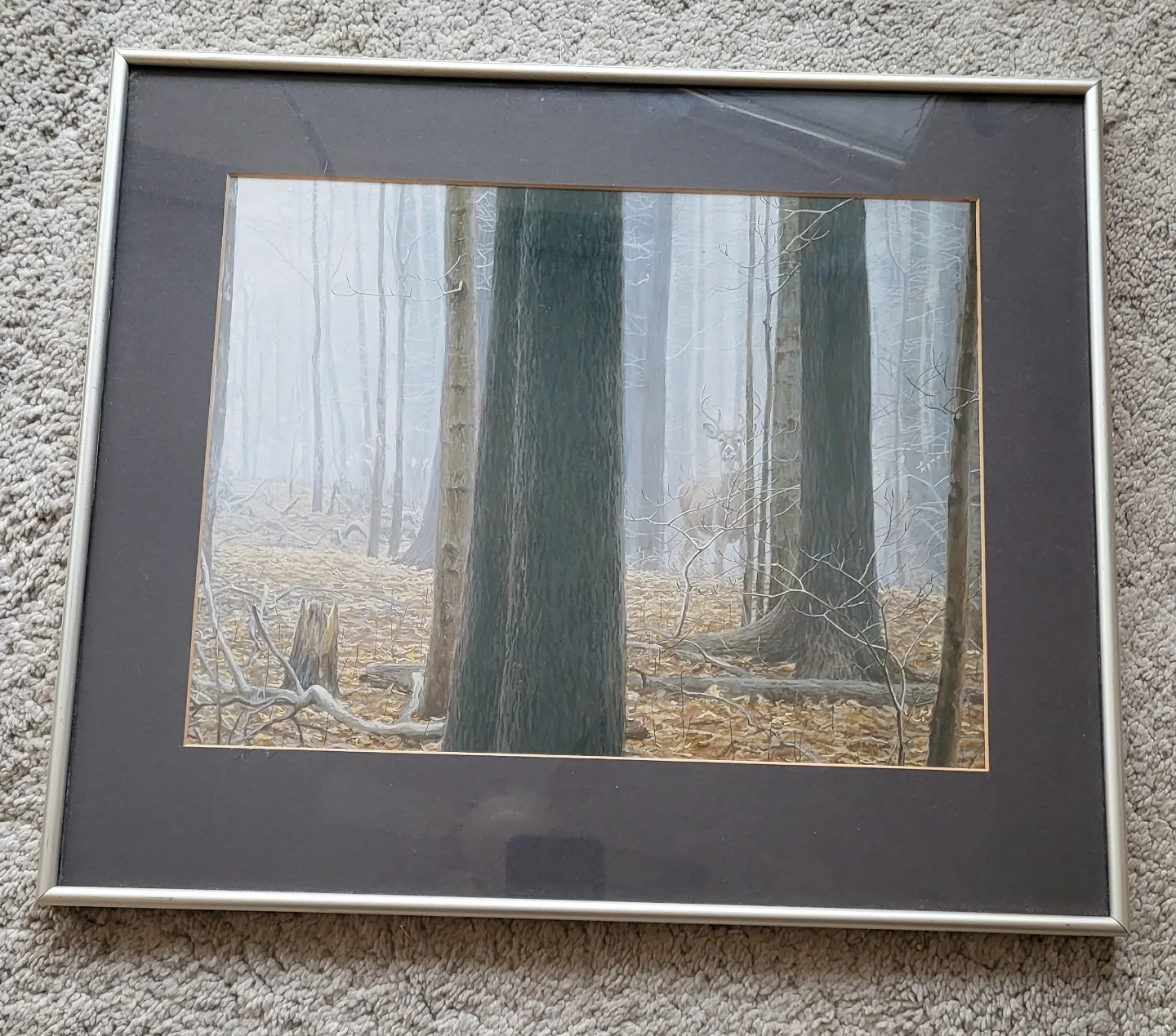 Robert Bateman Framed Wildlife Print thumbnail
