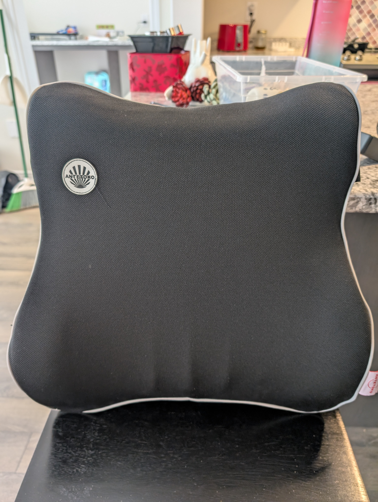Lumbar Support Back Cushion with Adjustable Straps