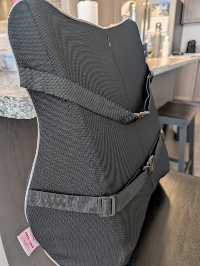 Lumbar Support Back Cushion with Adjustable Straps - photo 5