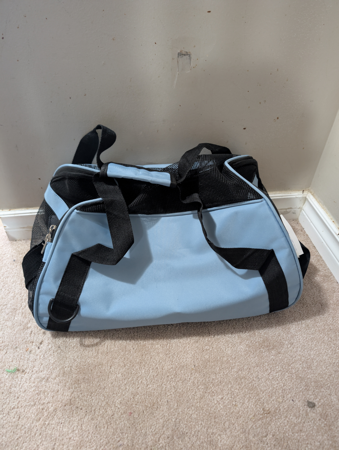 Small Pet Carrier