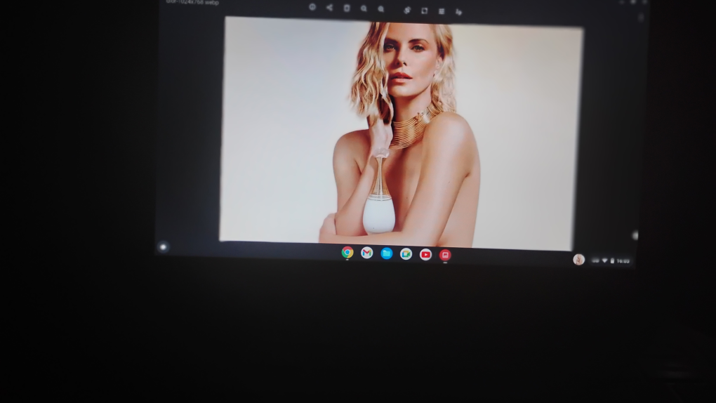 Chromebook HP 11.6 inch works great portable