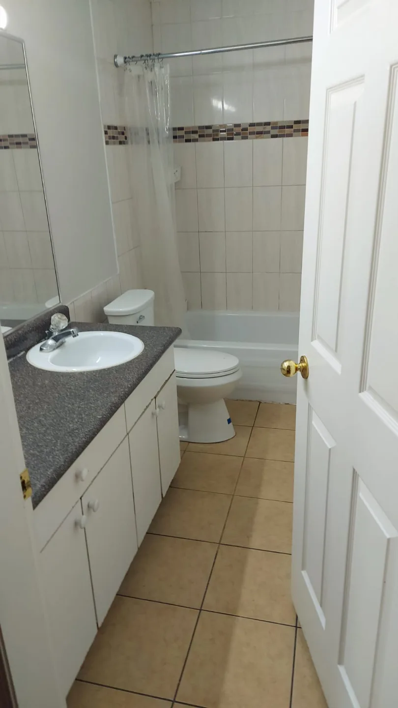 Basement Suite Rental - 2 Bedrooms Available now image indicator(3)