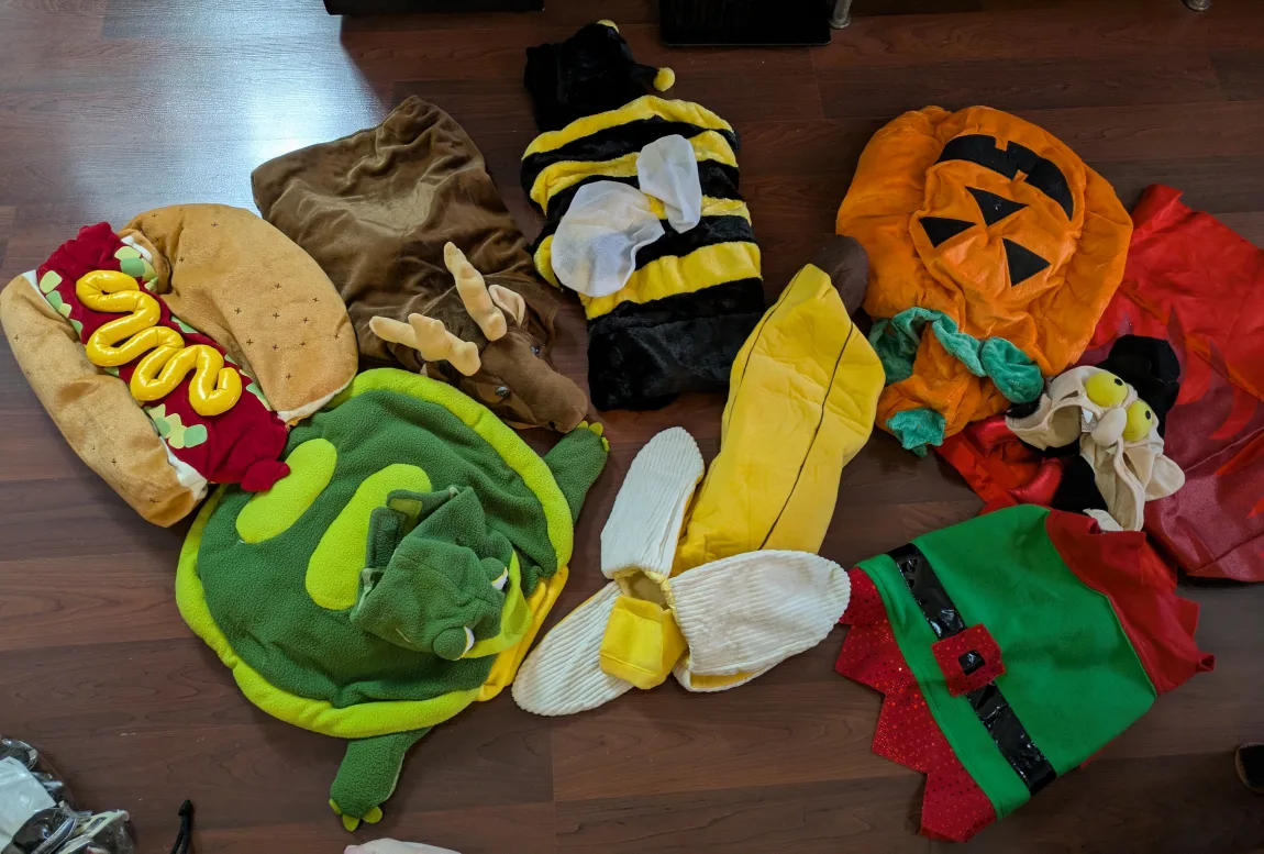 Lot of 8 Adorable Pet Costumes image indicator(2)