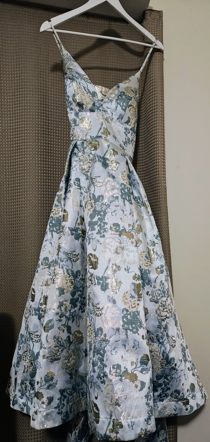 Gown/Prom Formal Dress - photo 3