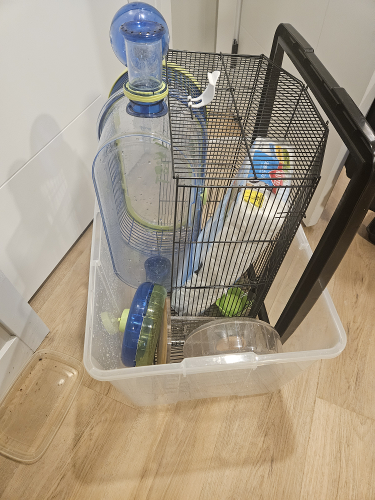 hamster cage complete setup