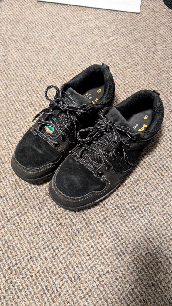 Steeltoe Work Shoes