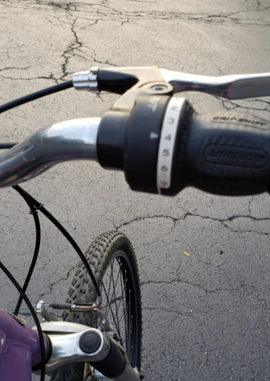 Schwinn Traverse $45 - photo 3