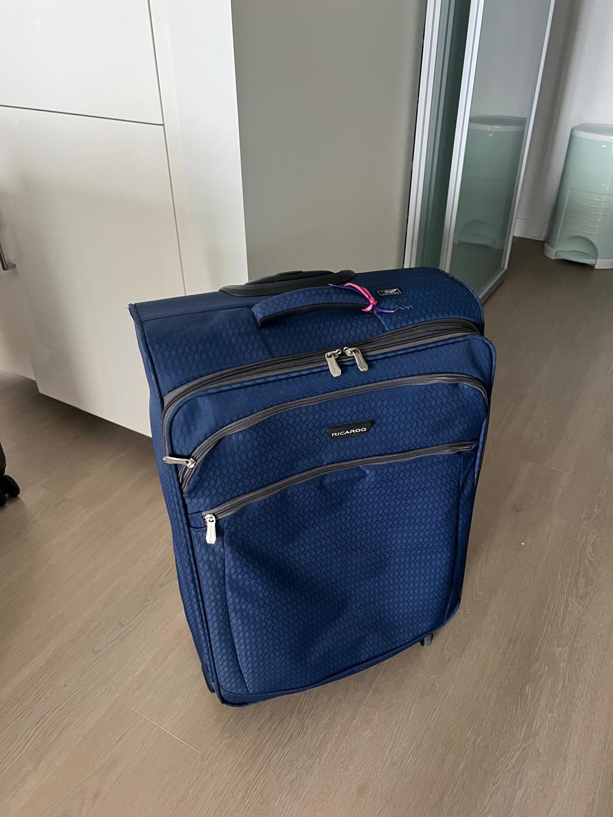 Ricardo Beverly Hills Luggage Suitcase